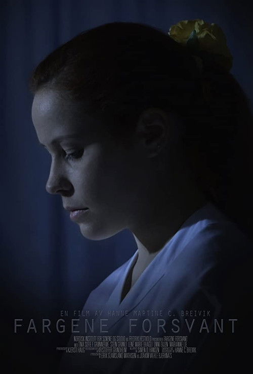 Fargene Forsvant (2014) poster