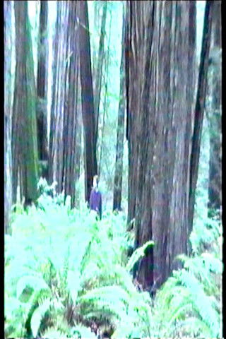 Dreamer (1999) poster