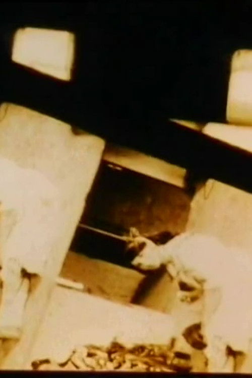 K (Acugher/Acimi) (2008) poster