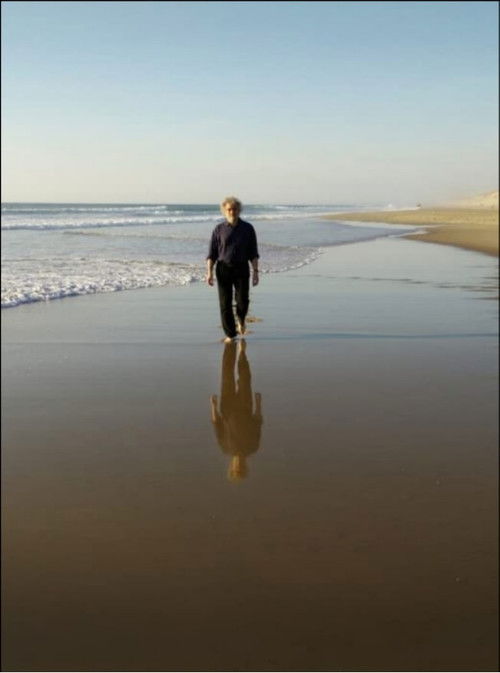 The Longing of Michael Dudok de Wit (2016) poster