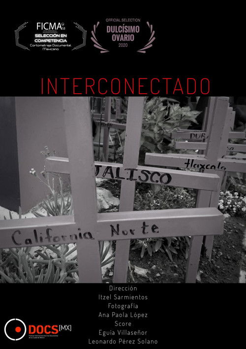 Interconectado (2019) poster