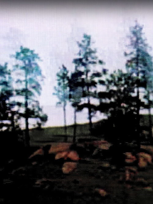 DREAMING (2024) poster