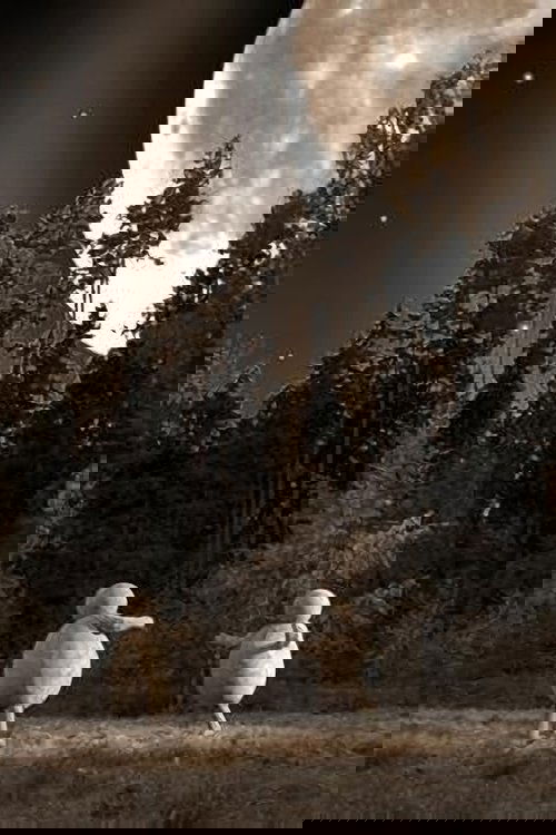 The Institute of The Dream (2006) poster