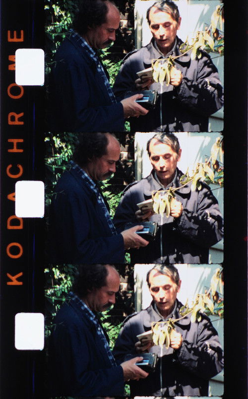 Le chant de l'âme (1989) poster