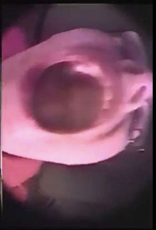 Tribute to Gloria Vanderbilt, Pt 2 (1980) poster