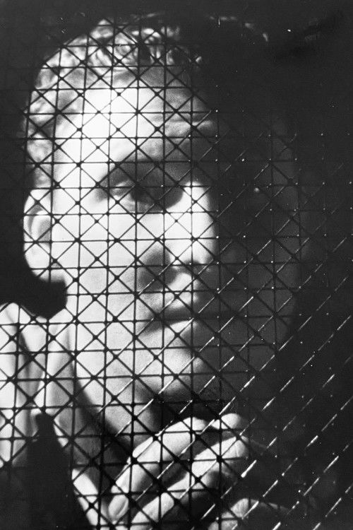 Fanatic (1997) poster