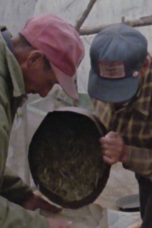 Wild Rice (1980) poster