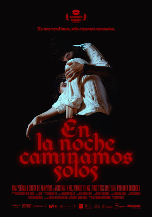 En la noche caminamos solos (2024) poster