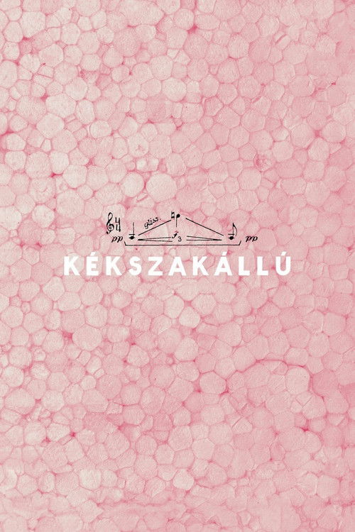 Kékszakállú (2016) poster
