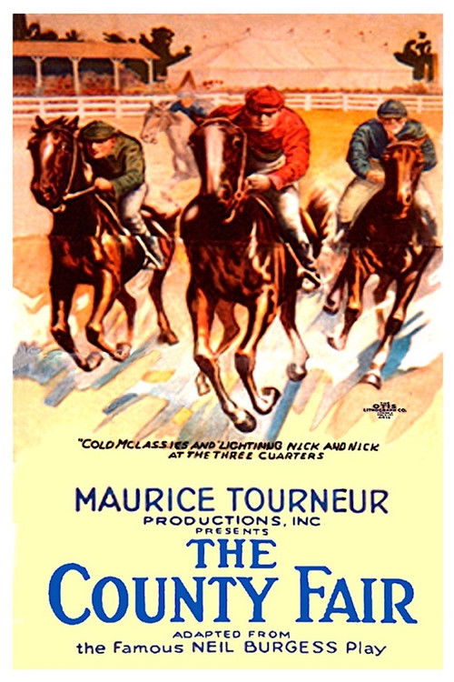 The County Fair (1920) poster