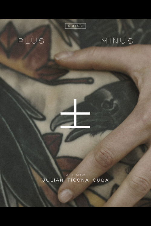 PLUS MINUS (2017) poster