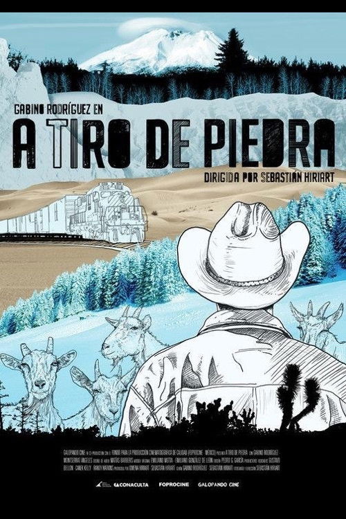 A Tiro de Piedra (2010) poster