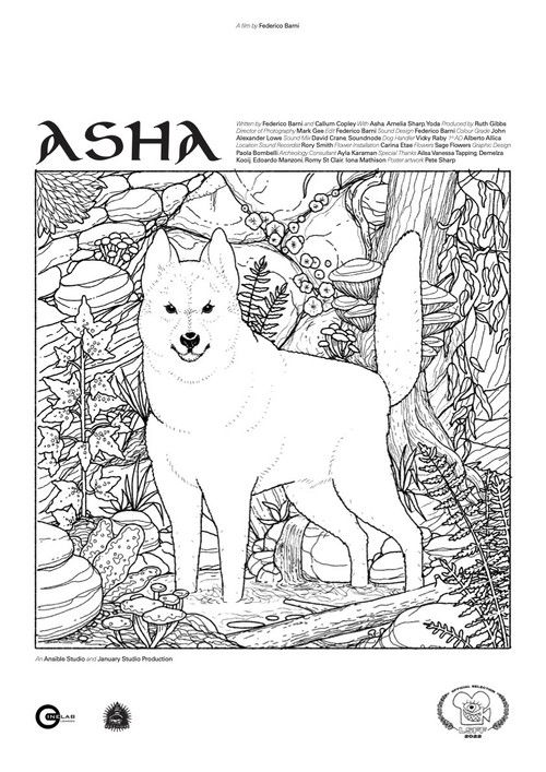 Asha (2021) poster