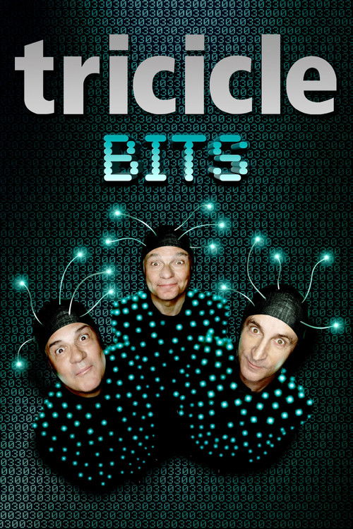 Tricicle: Bits (2012) poster
