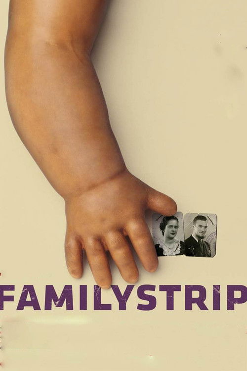 Familystrip (2009) poster
