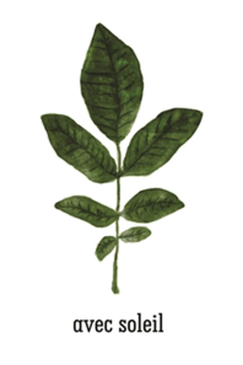 Avec Soleil (2014) poster