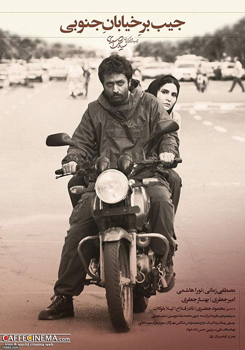 The Southside Pickpocket (2013) poster