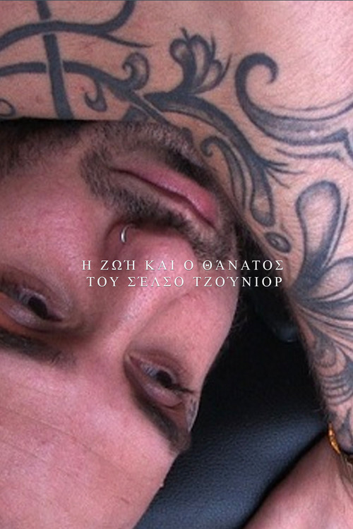 The Life and Death of Celso Junior (2011) poster