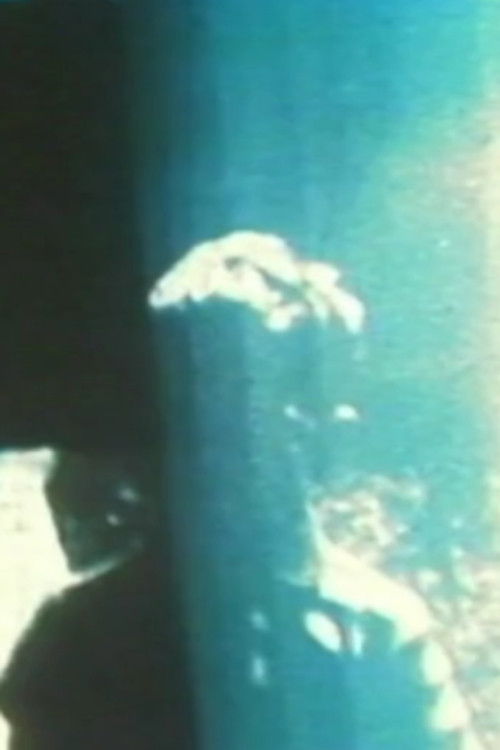 Fissures (1999) poster