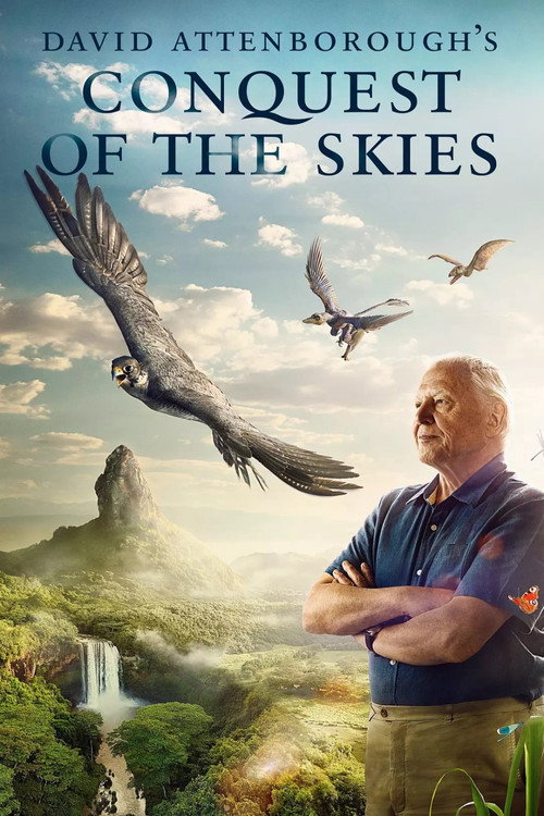 Conquest of The Skies 3D (2014) poster