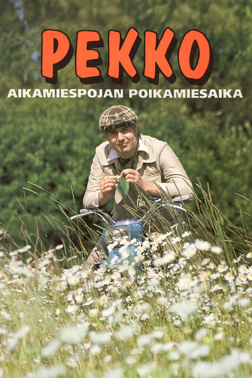 Pekko aikamiespojan poikamiesaika (1993) poster