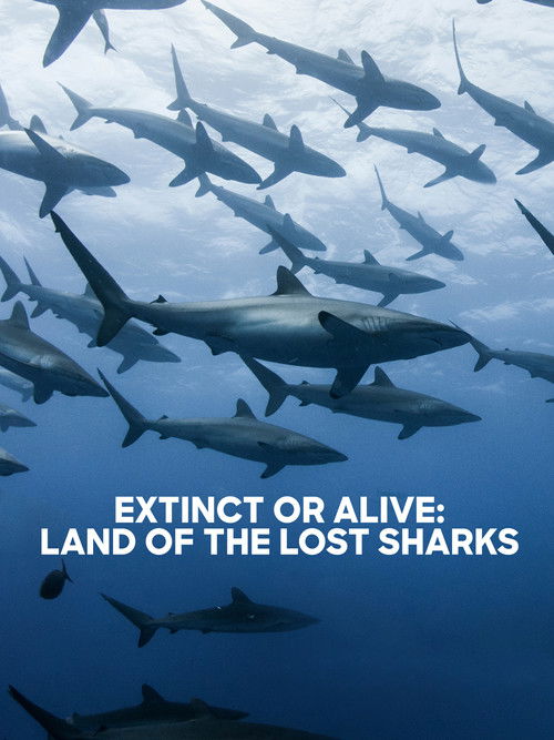 Extinct or Alive: Land of the Lost Sharks (2020) poster