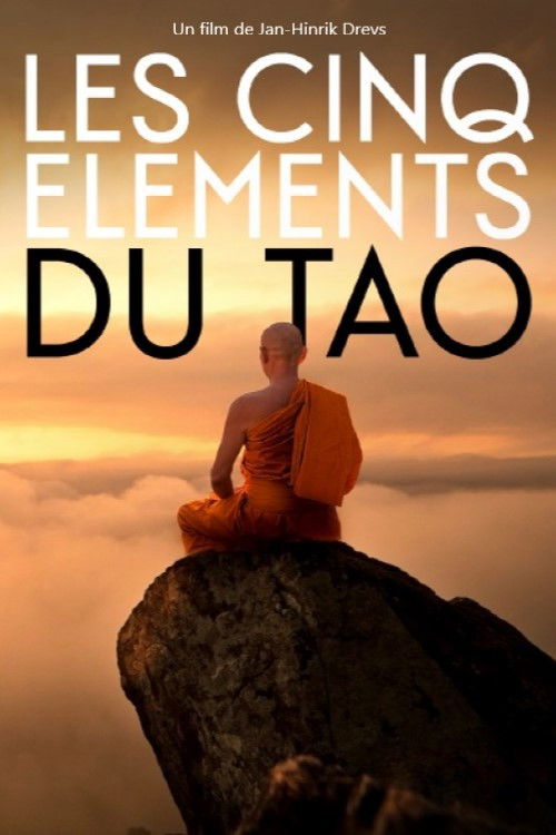 Balance of the Five Elements (2021) poster