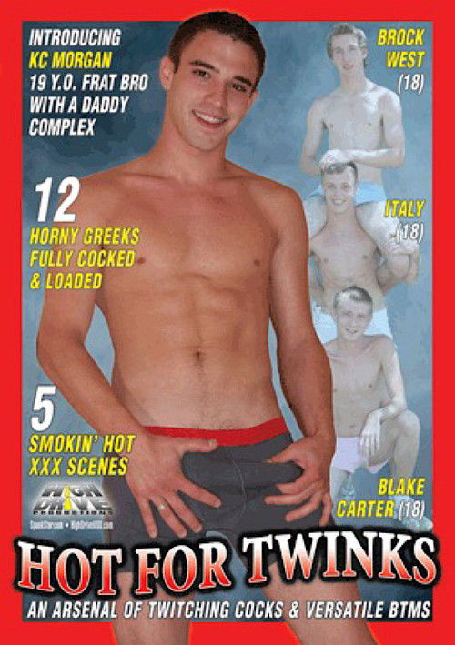 Hot for Twinks (2009) poster