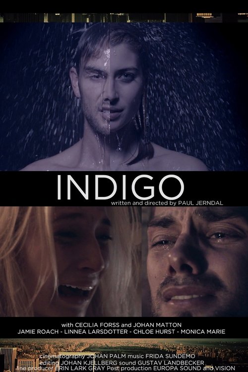 Indigo (2014) poster