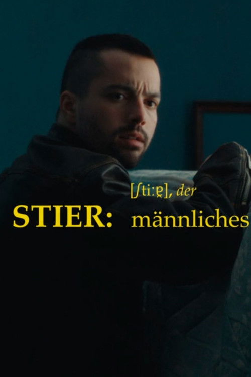 Stier (2023) poster
