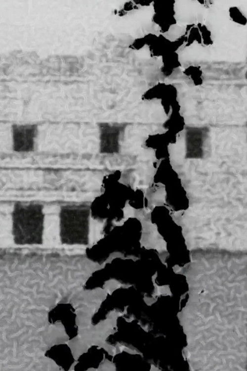 Jatun Llaxta, Noh Kaah... (2021) poster