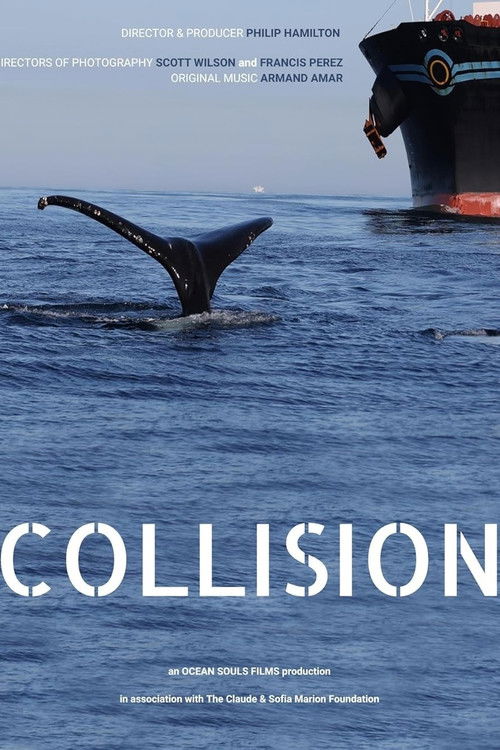 Collision (2023) poster