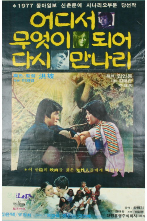 What will we become and where will we meet again? (1977) poster