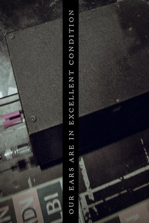 Our Ears are in excellent condition (2018) poster