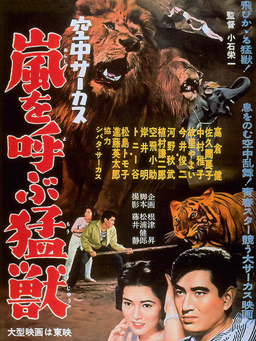 Midair Circus (1958) poster