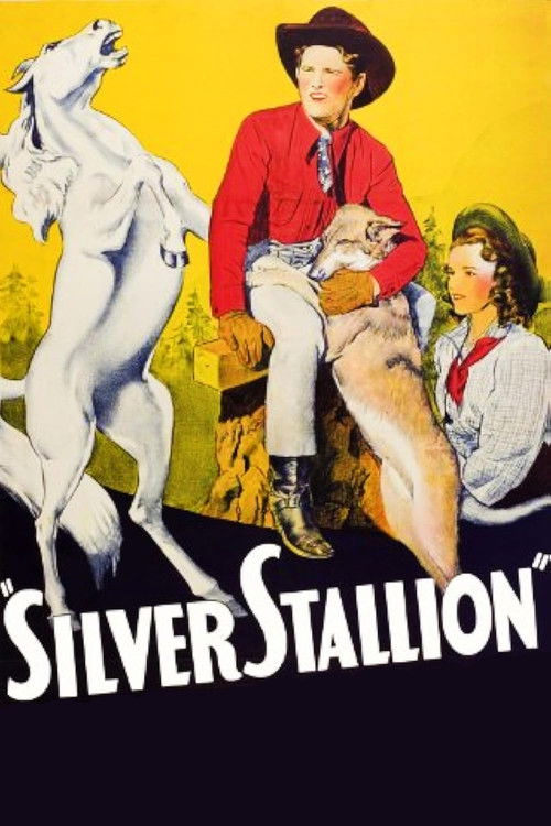 Silver Stallion (1941) poster