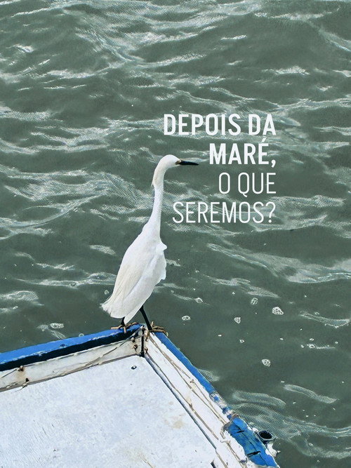 Depois da maré, o que seremos? poster