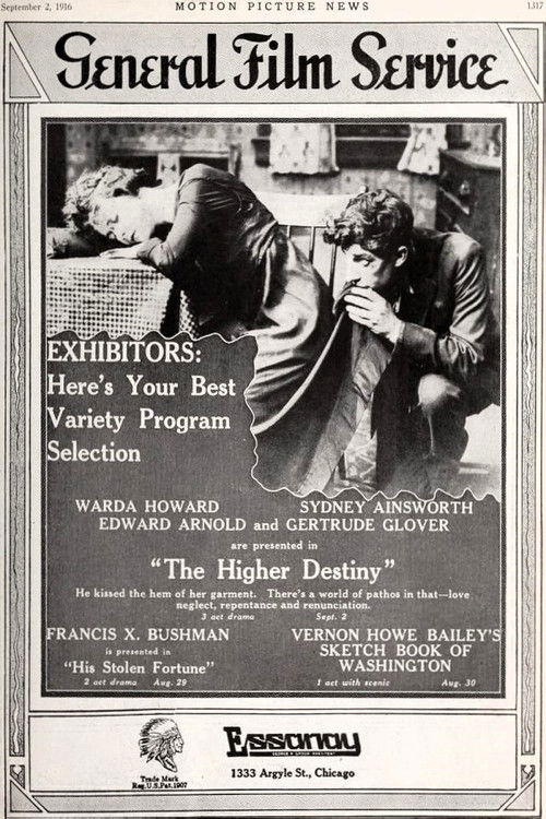 The Higher Destiny (1916) poster