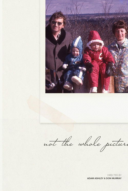 Not The Whole Picture poster