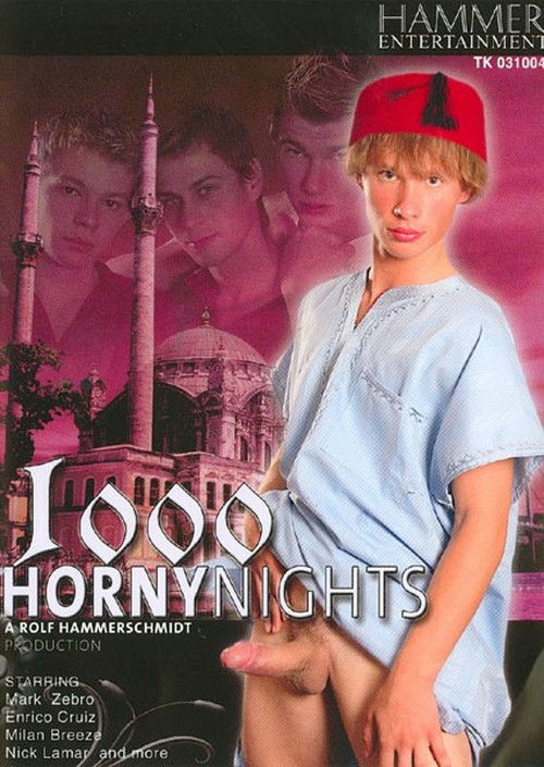 1000 Horny Nights (2006) poster