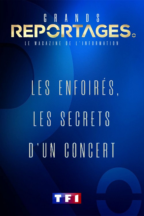 Les Enfoirés, les secrets d'un concert (2020) poster