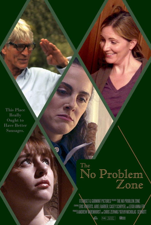 The No Problem Zone (2022) poster