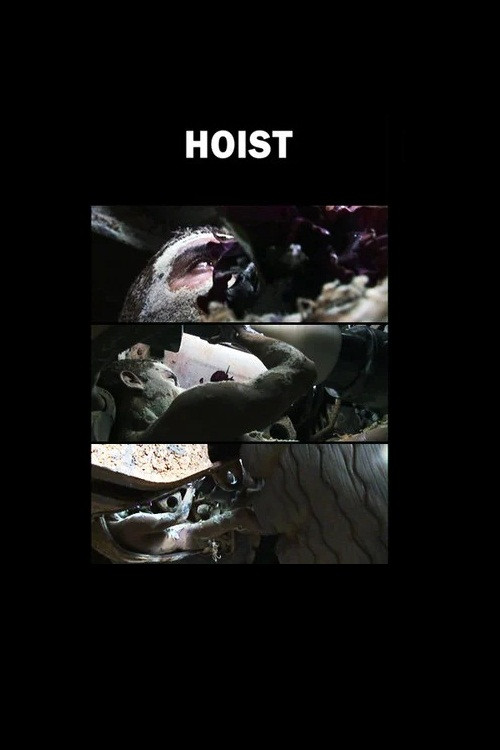 Hoist (2006) poster