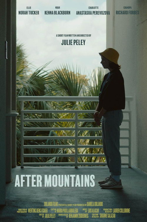 After Mountains (2024) poster