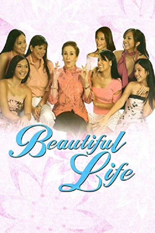 Beautiful Life (2004) poster