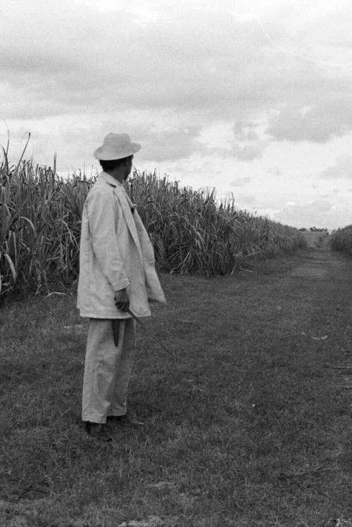 Un Gavillero en la Sierra (2022) poster