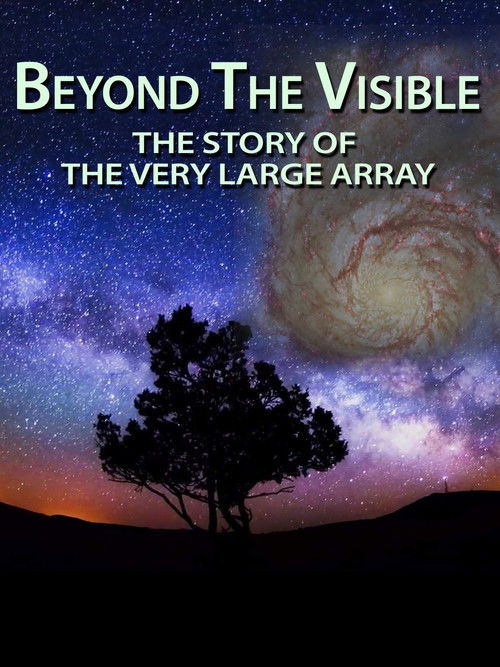 Beyond the Visible: The Story of the Very Large Array (2013) poster