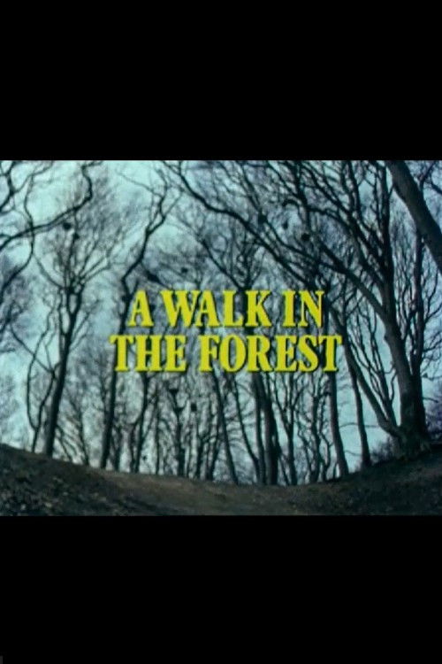 A Walk in the Forest (1980) poster