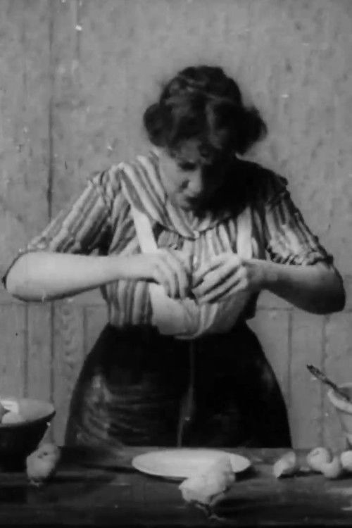 Strictly Fresh Eggs (1903) poster