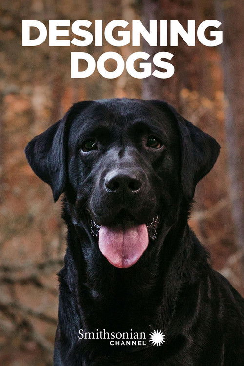 Designing Dogs (2007) poster